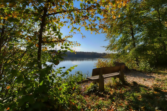 再见伊森！火箭、开拓者酝酿4换1交易，2米03前锋空降休斯顿