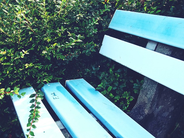 CBA：上海男篮主场大胜同曦