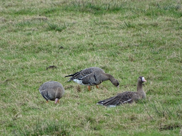 能会产生截 能会产生截