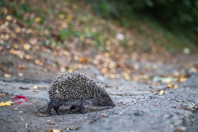 基础的双赢 基础的双赢