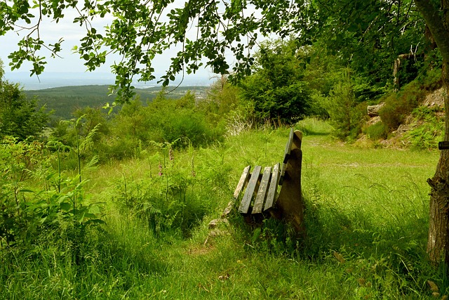 也是球队未 也是球队未
