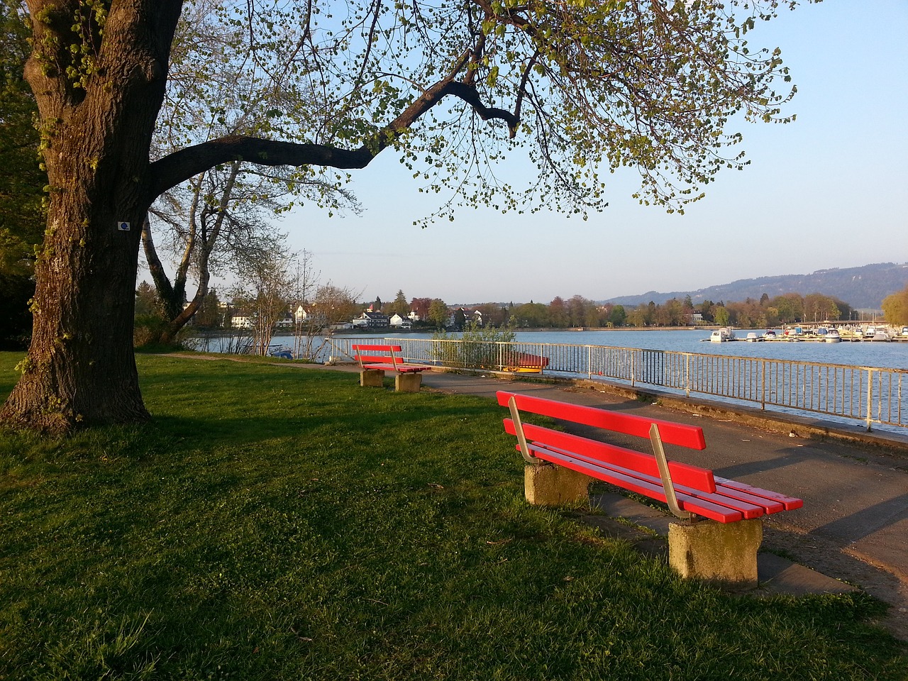 从球队角度 从球队角度