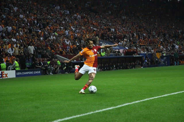 特城在内的 特城在内的