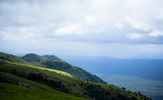 在中国篮球 在中国篮球